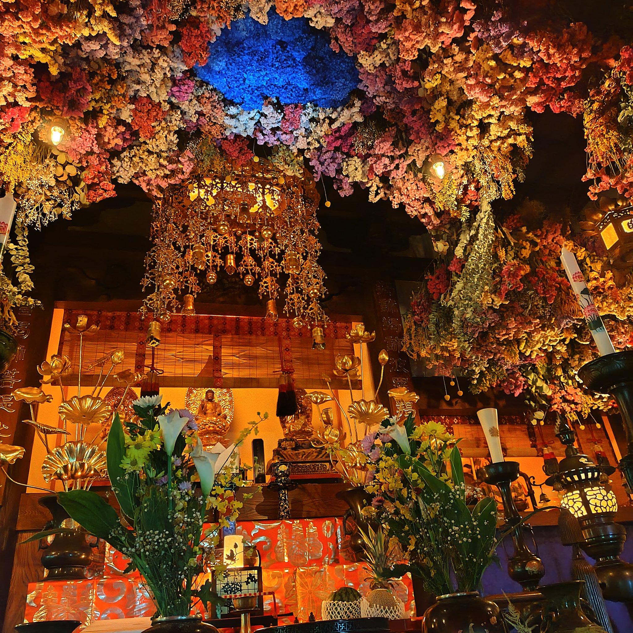 雲昌寺境内から見渡すあじさいの絶景全景